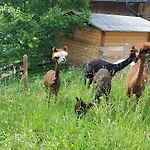 Klockergut * Sankt Veit im Pongau