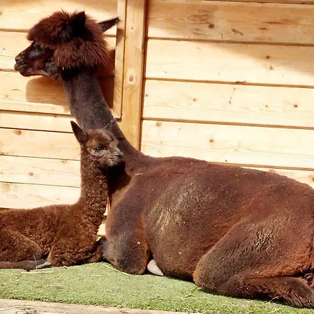 Klockergut Sankt Veit im Pongau