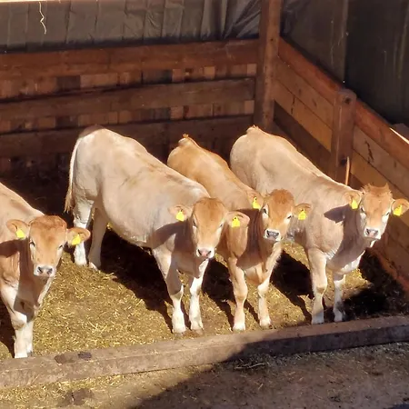 Alloggio per agriturismo Klockergut *