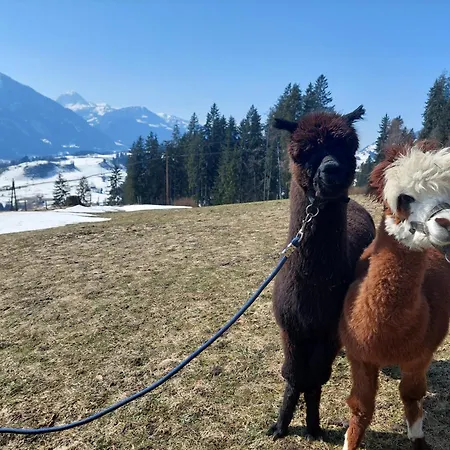 Klockergut Санкт-Файт (Понгау)
