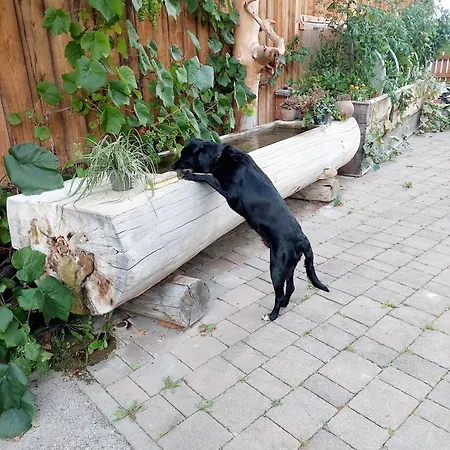 Klockergut Фермерский дом *