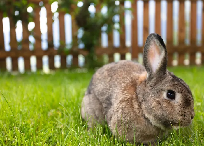 Klockergut Alloggio per agriturismo Sankt Veit im Pongau