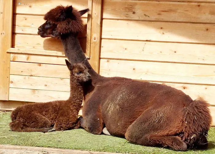 Klockergut Sankt Veit im Pongau