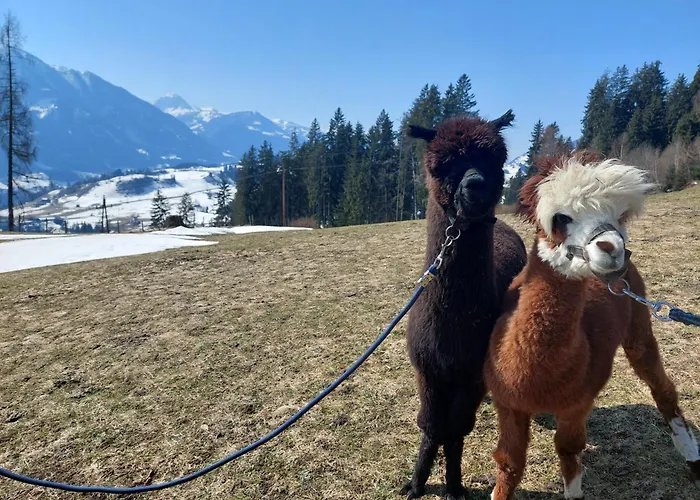 Klockergut Sankt Veit im Pongau