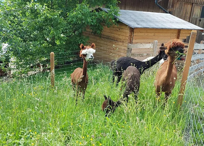Klockergut * Sankt Veit im Pongau