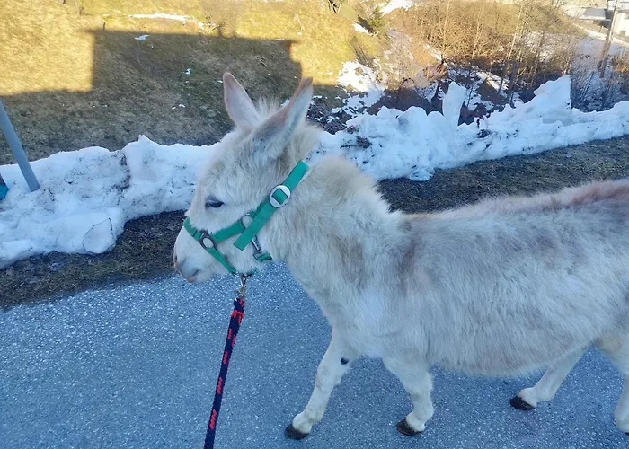 Klockergut Sankt Veit im Pongau