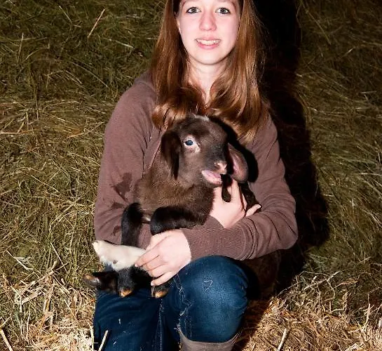 Alloggio per agriturismo Klockergut